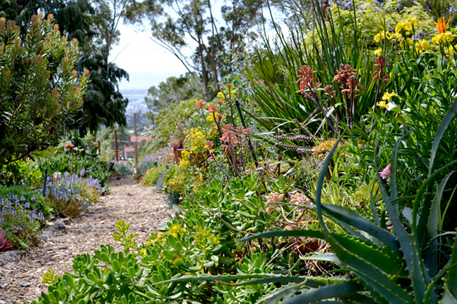 Leianne's Garden